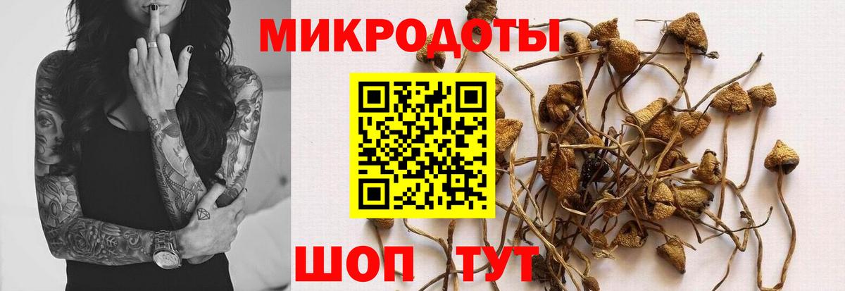 Псилоцибиновые грибы мицелий  Вход с VPN  Сочи  Псилоцибиновые грибы ЛСД 